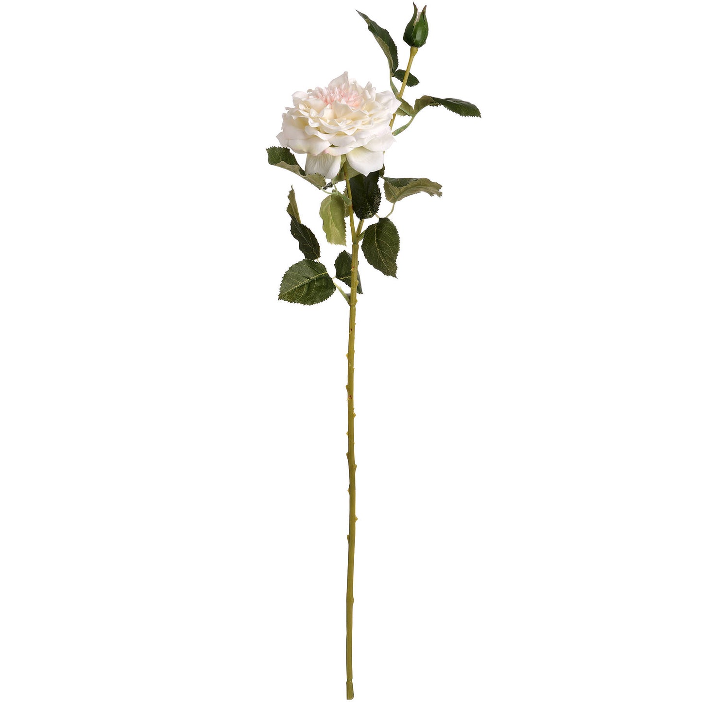 White Garden Rose Spray