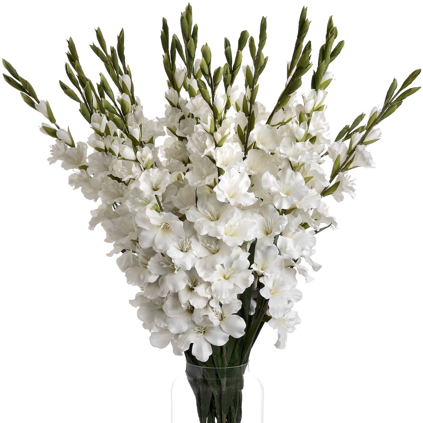 White Gladioli Single Stem