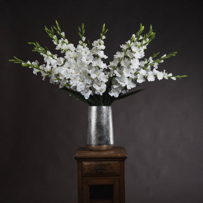 White Gladioli Single Stem