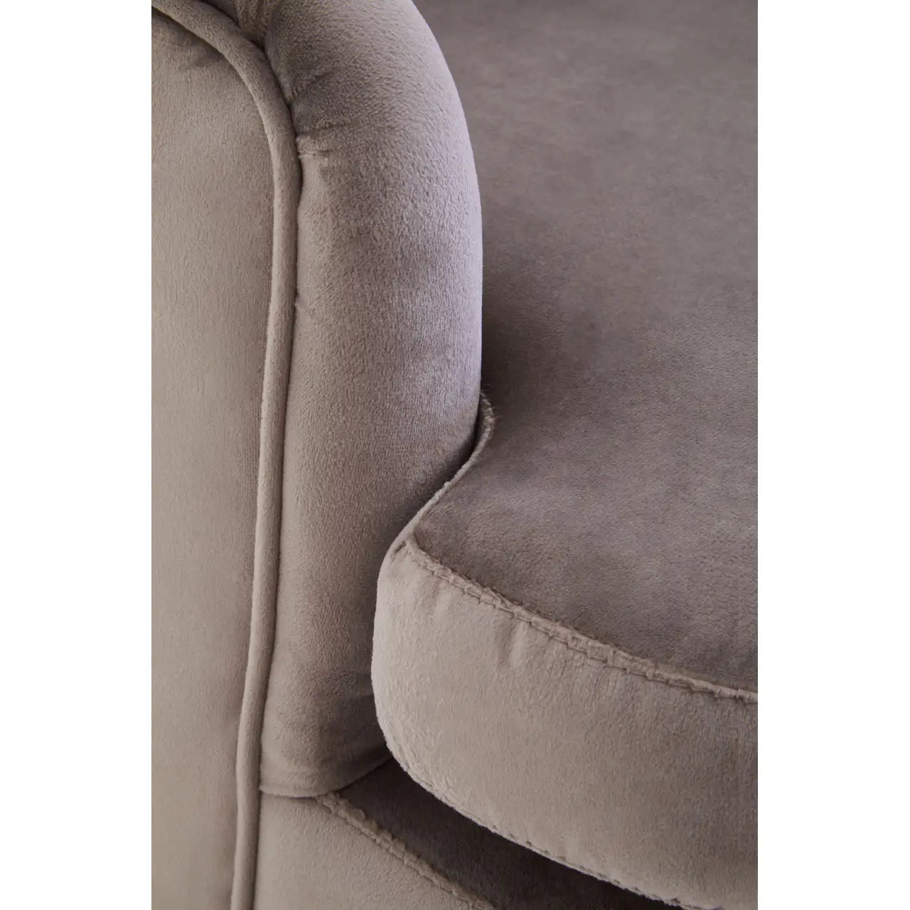 aRmanica LORETTO MINK VELVET ARMCHAIR