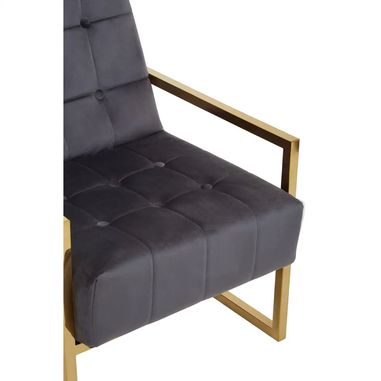 aRmanica HINO GREY VELVET CHAIR WITH GOLD FRAME